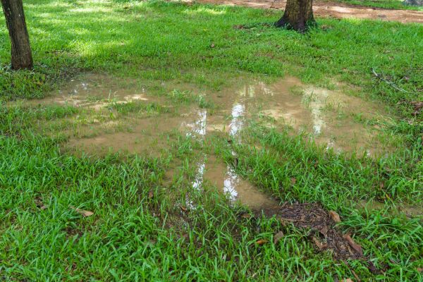 Cost of Storm Water Drainage Service in Boulder
