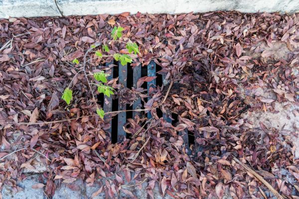 Cost of Yard Drain Unclogging in Boulder