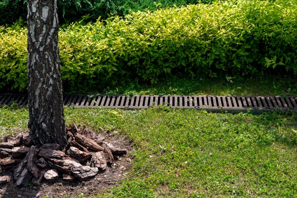 Cost of Wet Yard Drainage in Boulder