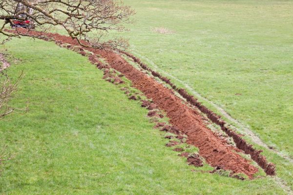 Cost of Swale Installation in Boulder
