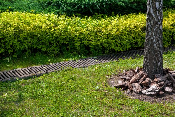 Cost of Residential Landscape Drainage in Boulder