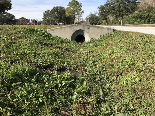 Cost of Swale Drainage Service in Boulder