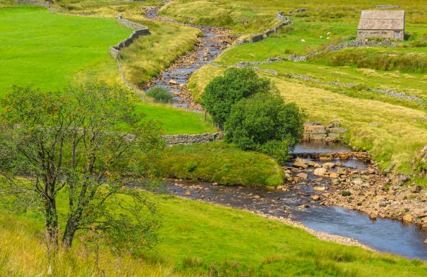 Cost of Swale Repair in Boulder